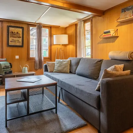 Lovely & Great Equipped Wooden Alp Flat