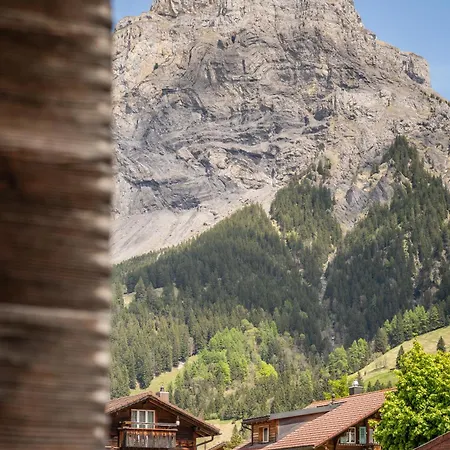 Lovely & Great Equipped Wooden Alp Flat * Kandersteg