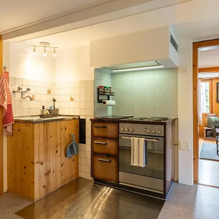 Lovely & Great Equipped Wooden Alp Flat Apartamento