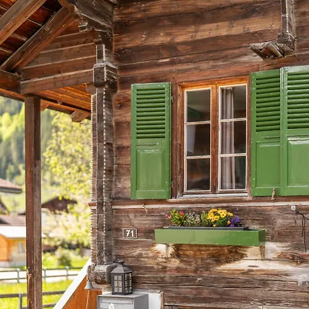 Lovely & Great Equipped Wooden Alp Flat *