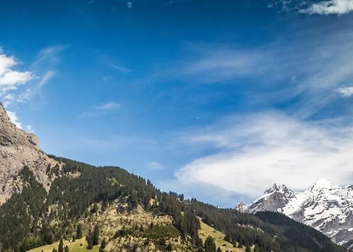 Lovely & Great Equipped Wooden Alp Flat Apartamento *