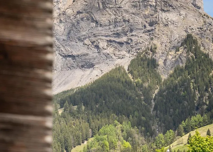 Lovely & Great Equipped Wooden Alp Flat * Kandersteg